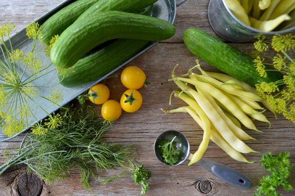 Sustainable Living with MamaOrganica